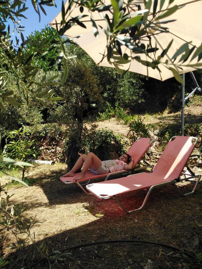 Ελαιώνας - Solar Energy House Villa Chorefton Eksteriør billede